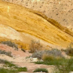 Desert Landscape