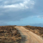 A photo taken in Israel by Abigail Hirsch.