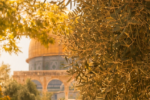 From Mourning to Vision: A Tisha B’Av Reflection