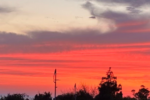 As Rosh Hashanah Approaches: Gratitude from Jerusalem