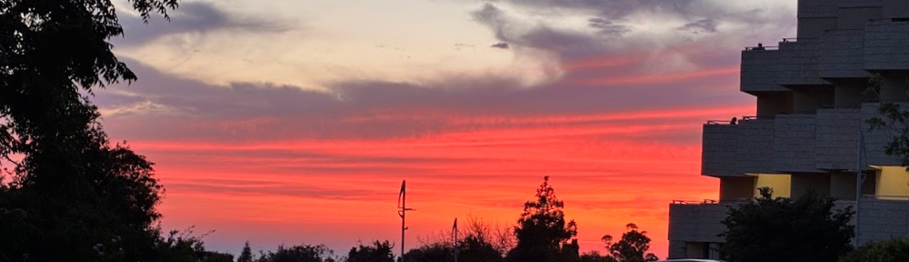 Sunset over Jerusalem with trees and apartment buildings.